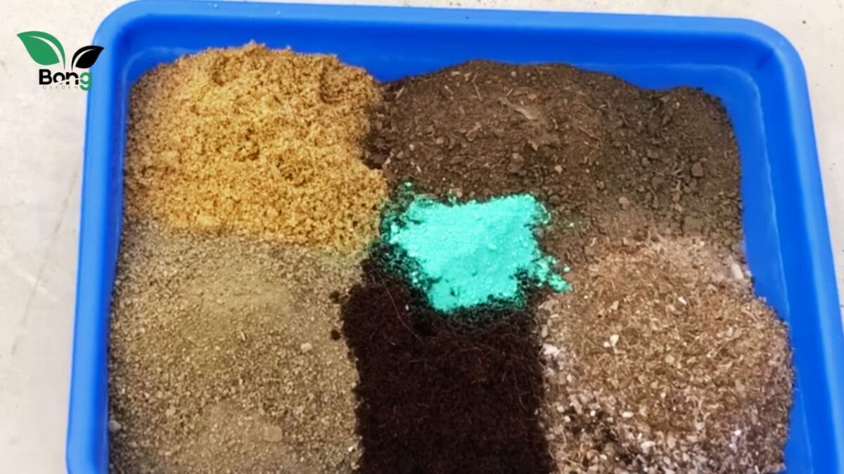 টবে সবজি চাষের সেরা মাটি তৈরি করতে চান? এই ৫ 'অমৃত' কিন্তু দিতেই হবে | Potting Mix For Vegetables 10 টবে সবজি চাষের সেরা মাটি