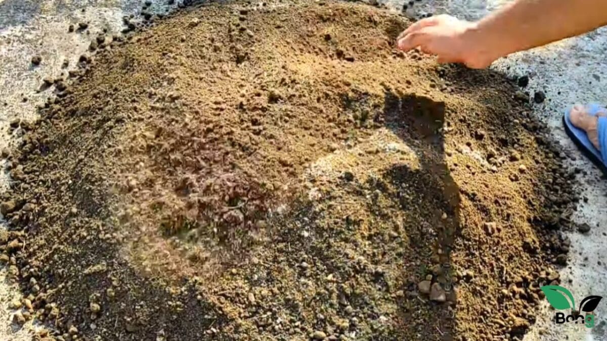 টবে সবজি চাষের সেরা মাটি তৈরি করতে চান? এই ৫ 'অমৃত' কিন্তু দিতেই হবে | Potting Mix For Vegetables 9 টবে সবজি চাষের সেরা মাটি